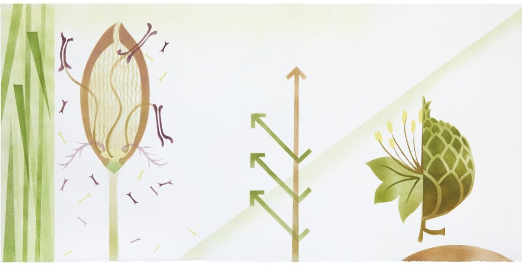 XIV The Oak Tree: a tribute to eternity, July, August, September 2020