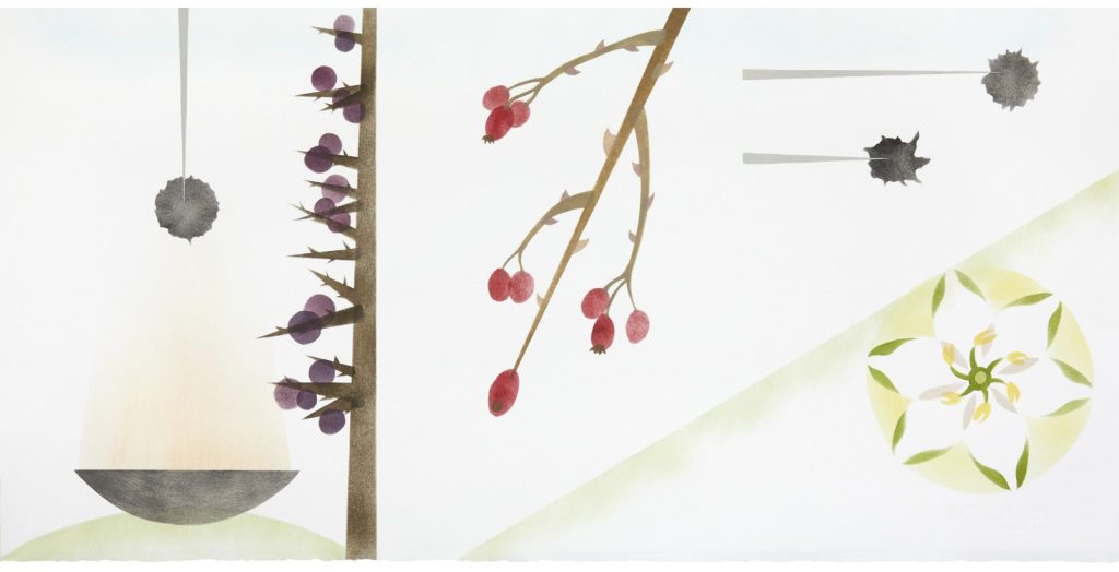 XVI The Oak Tree: a tribute to eternity, December 2020, January, February 2021
