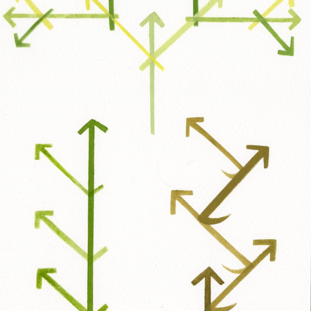 Calculations of Nature