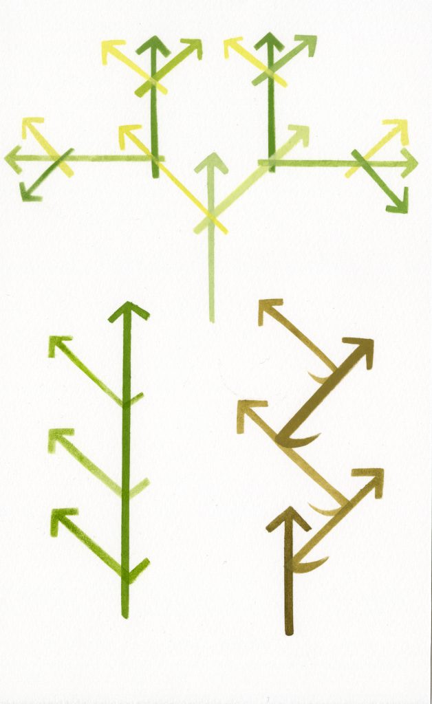 Calculations of Nature