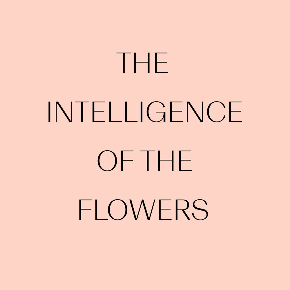 The Intelligence of the Flowers